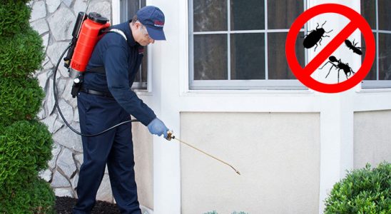 Çamdibi Hamam Böceği İlaçlama böcek ilaçlama ve haşere kontrolü — ilaclama-tr.com